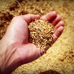 Geodeta przy inwestycji – {kiedy jego pomoc jest niezbędna